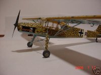 Storch 1.jpg