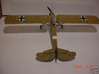 Storch 3.jpg