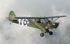 Grasshopper2.jpg