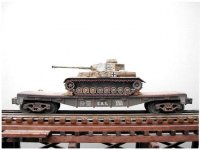 Captured Tiger.jpg