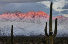 Snow-View from Scottsdale.jpg