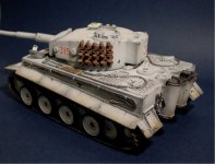 wtigerd.jpg