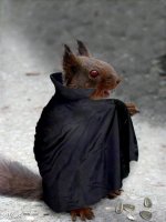 vampire_squirrel.jpg