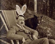 Adolf the playboy bunny.jpg