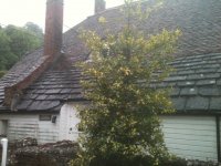 House Resized 5.JPG