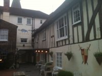 Blue Boar Resized 1.JPG