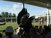 PowWow002.jpg