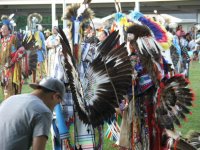 PowWow247.jpg