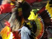 PowWow160.jpg