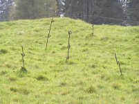 Newfoundland Memorial Barbeb Wire.jpg