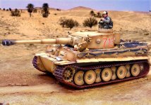 tiger-670.jpg