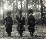 Belgian grenadiers.jpg