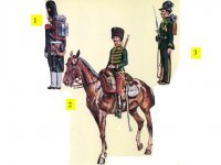 1885 grenadier and carabinier-1896 guide belge.jpg