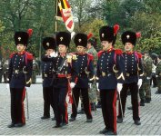 GRENADIERS_Belgium_Tenue_Tradition.jpg