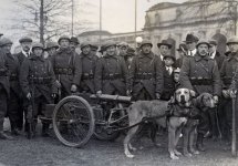 Belgian MG crew (2).jpg