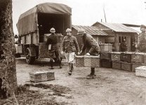 Belgian army -pigeons.jpg