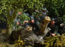 DSC_0026.JPG
