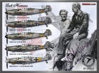 09 erich Hartmann wallpaper heinz bimmel mertens.jpg 09 erich Hartmann wallpaper heinz bimmel mertens.jpg