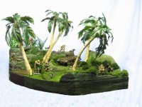 Philipine Encounter2.jpg
