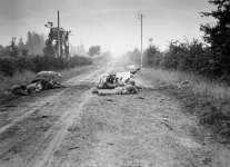 S1478.jpg