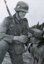 WW2 dog.jpg