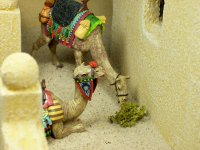 100_7239.jpg