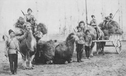 800px-Orenburg_cossacks_with_camels.jpg