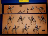 Camels 001.jpg