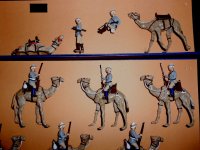 Camels 004.jpg