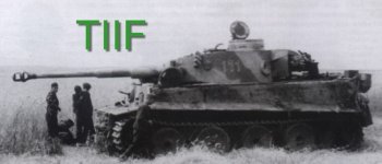 tiger 2.jpg