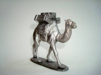 CAM03.jpg
