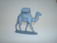 CAM05.jpg