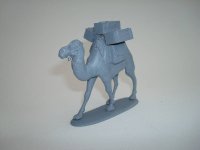 CAM06.jpg