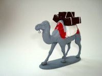 CAM09.jpg