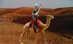 sudanhvycameltroop1SM.jpg