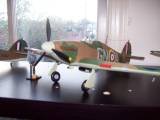 th_100_1055-1.jpg