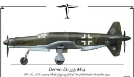 Do335M14_S_Schatz-1[1].jpg