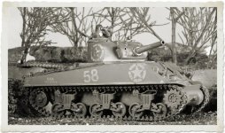 sherman.bw.jpg