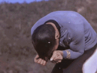 Star-Trek.gif