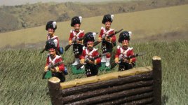 Thin Red Line 4.JPG