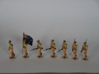 Palmetto Australian Inf.jpg