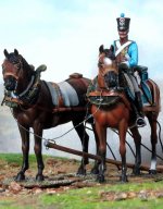 pair of horses (1).jpg