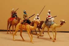 camel1w.jpg