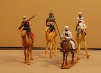 camel2w.jpg