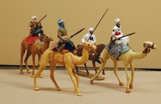 camel3w.jpg