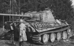 Panther_number_302.jpg