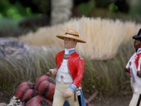 DSCN0737.JPG