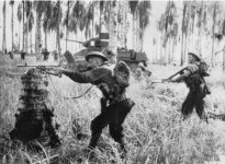 Australian_assault_on_pillbox,_January_1943,_Papua,_Giropa_Point.jpg