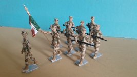 MEXICAN MARINE INFANTRY.jpg