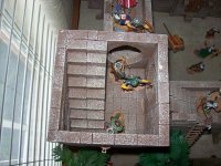 100_9851.jpg